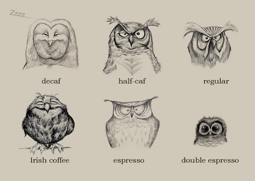 Semi-anthropomorphic sketches of six owls, each with a different
        facial expression and labeled with the name of a different
        coffee-related beverage: decaf (asleep), half-caf (awake, but
        not happy about it), regular (a little more awake and still
        not happy about it), Irish coffee (cheerfully buzzed),
        espresso (unable to blink), double espresso (oh dear, it's
        gone all the way to knurd).